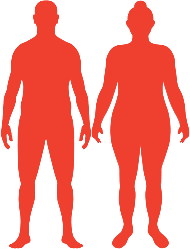 Obese BMI Silhouette