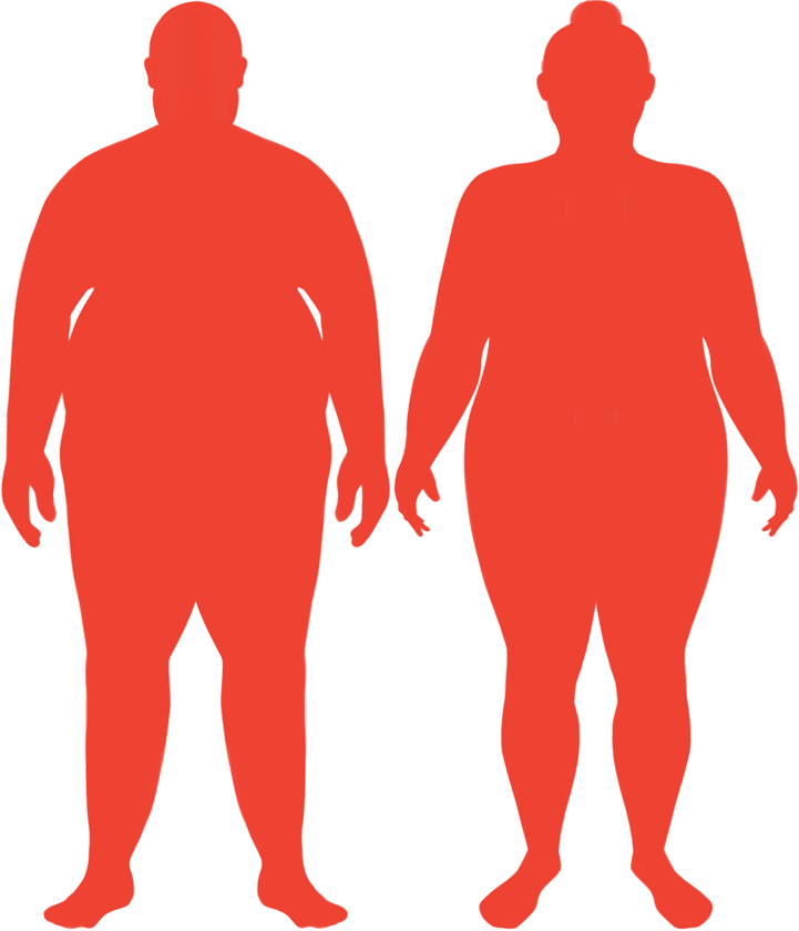 Obese BMI Silhouette