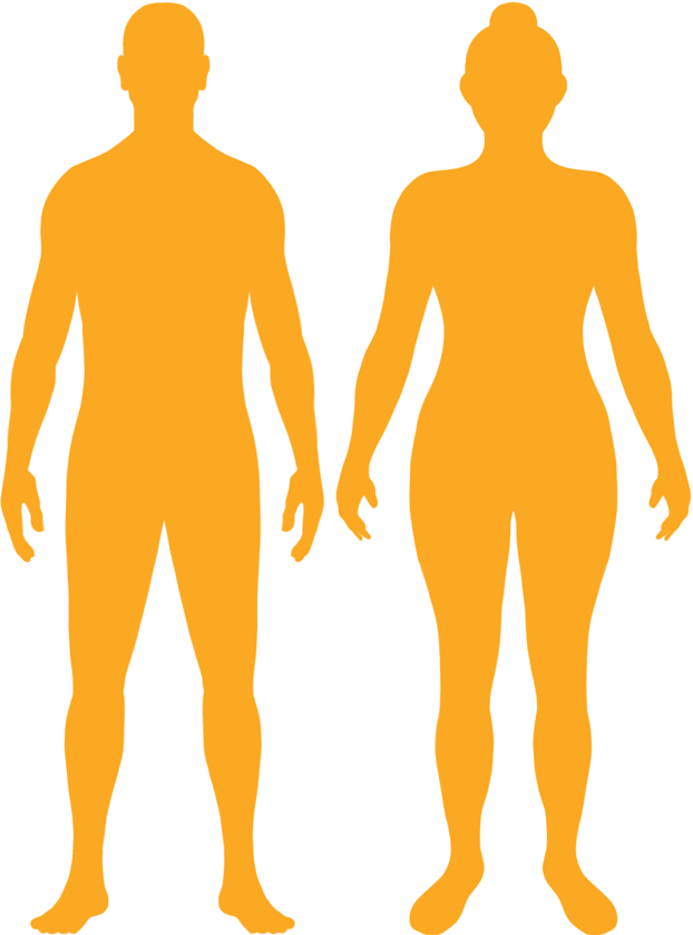 Overweight BMI Silhouette